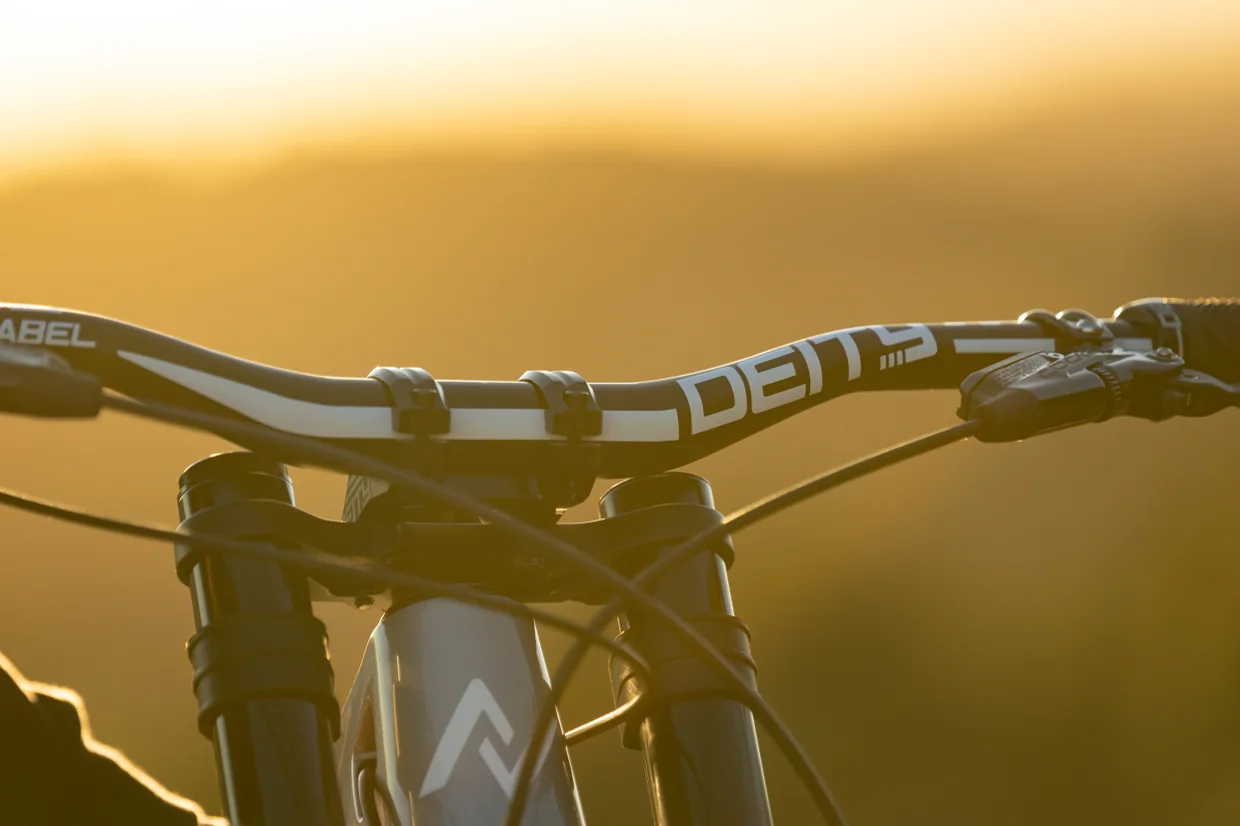 Deity bar and stem lit by the low sun